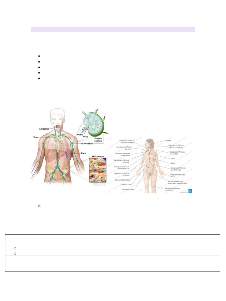 sistema-linfoide-pdf