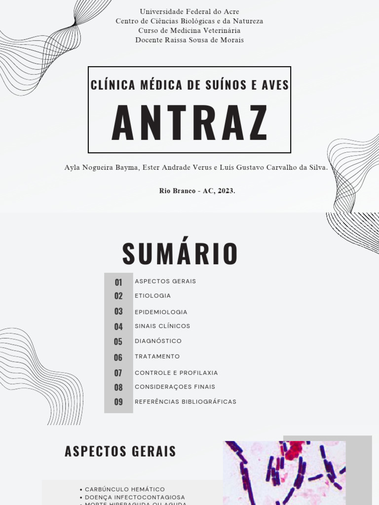 Antraz PDF | PDF