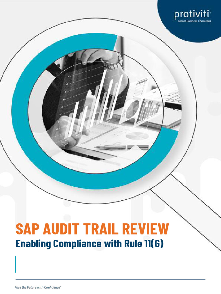 SAP Audit Trail Review 1719296392 | PDF