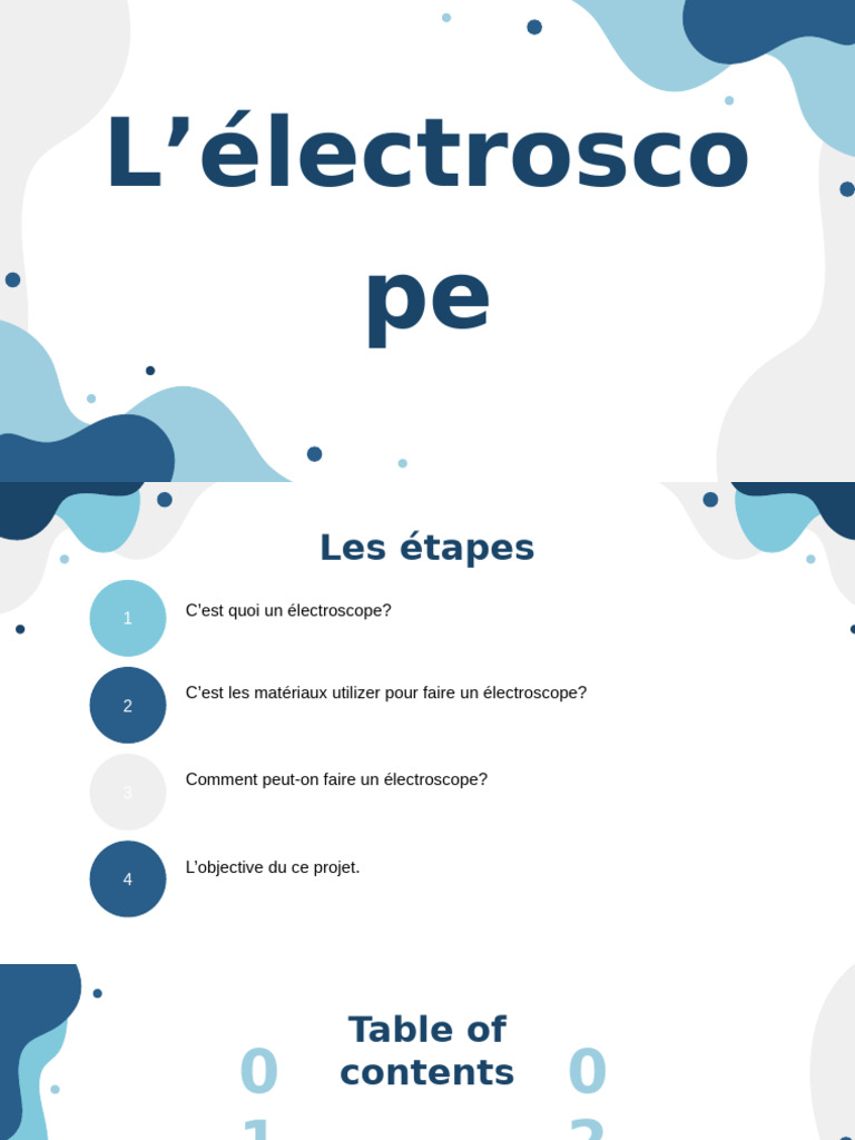 Guide to Building an Electroscope | PDF