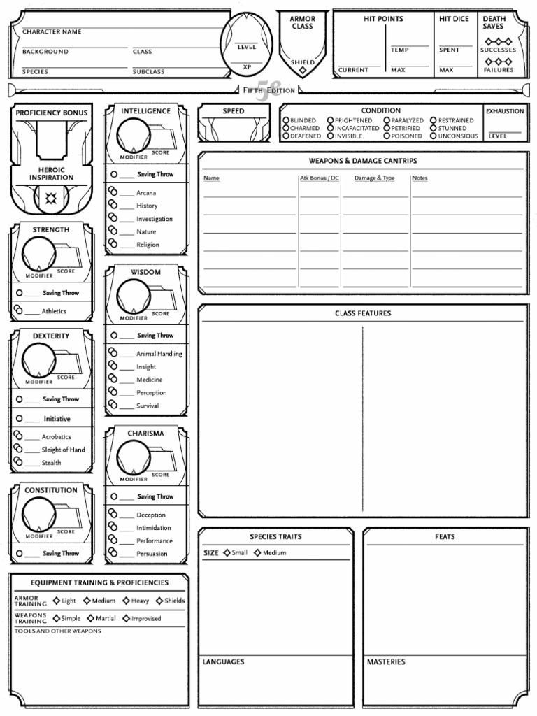 DND - 2024 - Character-Sheet - DLTHEDM - Fillable | PDF