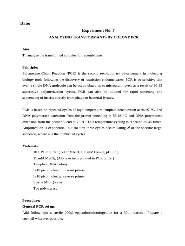Experiment 7 - Colony Polymerase Chaın Reactıon | PDF