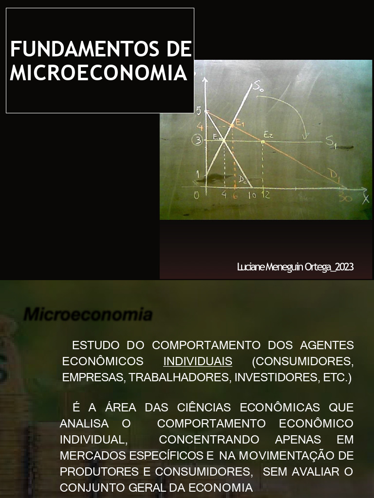 Aula Microeconomia | PDF