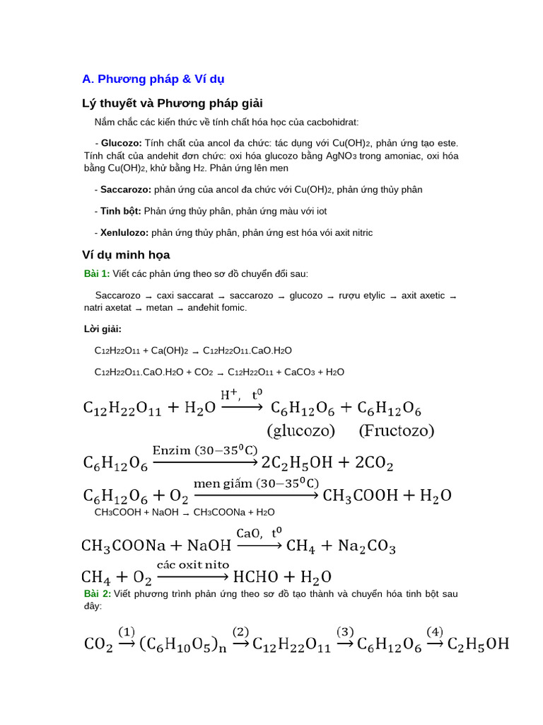 PPHH | PDF