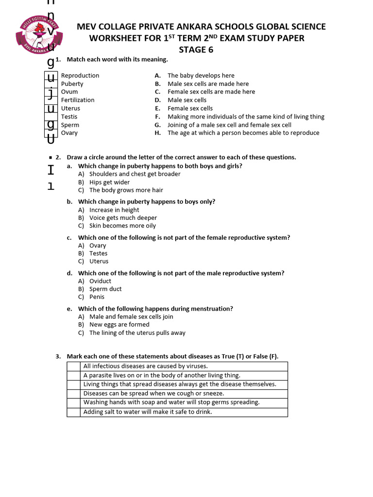 GS Exam Study Paper 1.2 Stage 6 | PDF