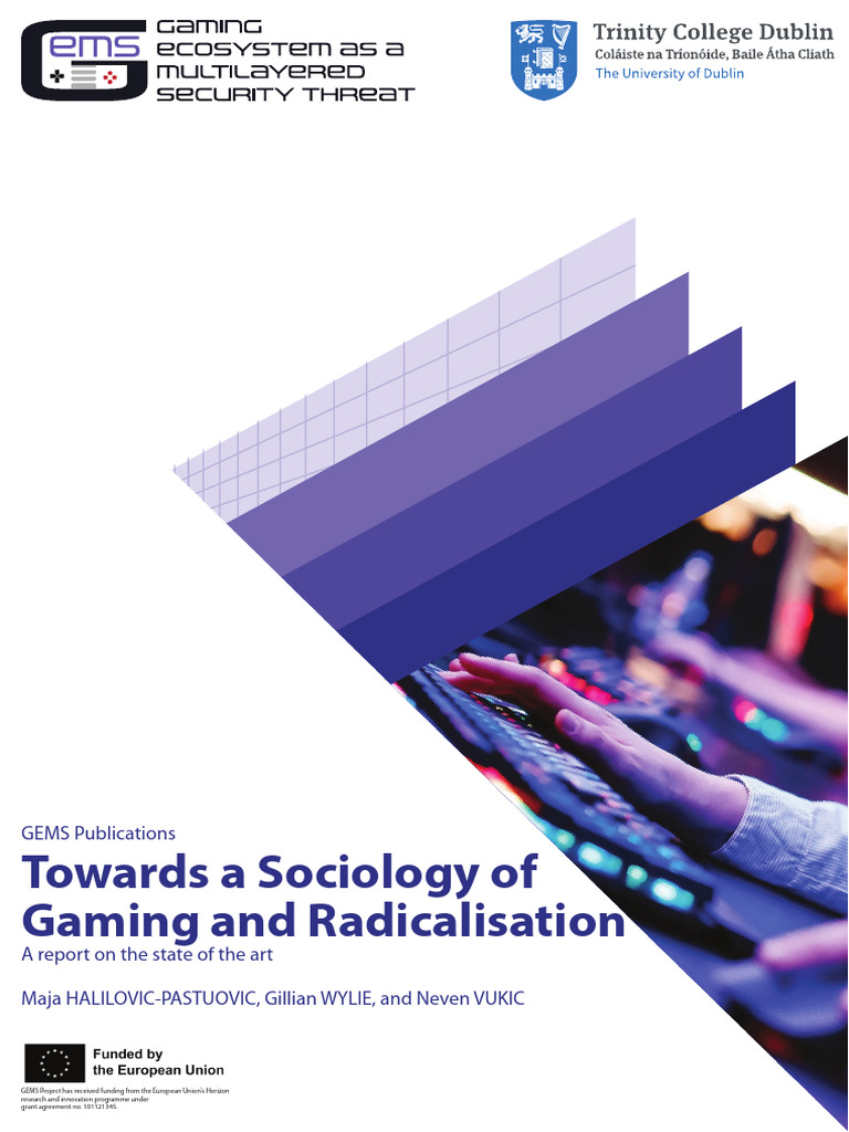 Towards A Sociology of Gaming and Radicalisation A Report On The State ...