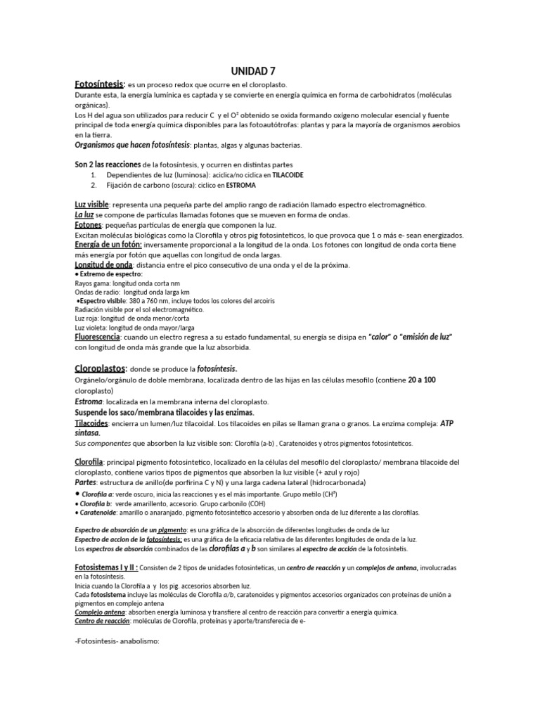 Unidad 7 - Bio | PDF