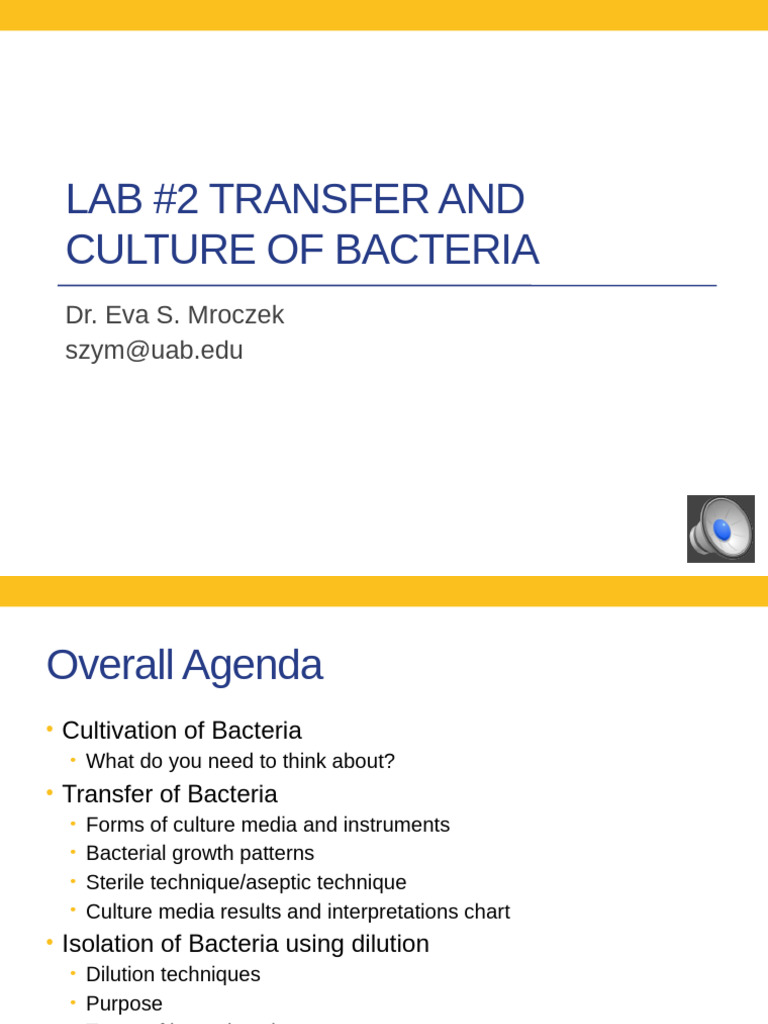 Lab #2 Lecture 2 | PDF