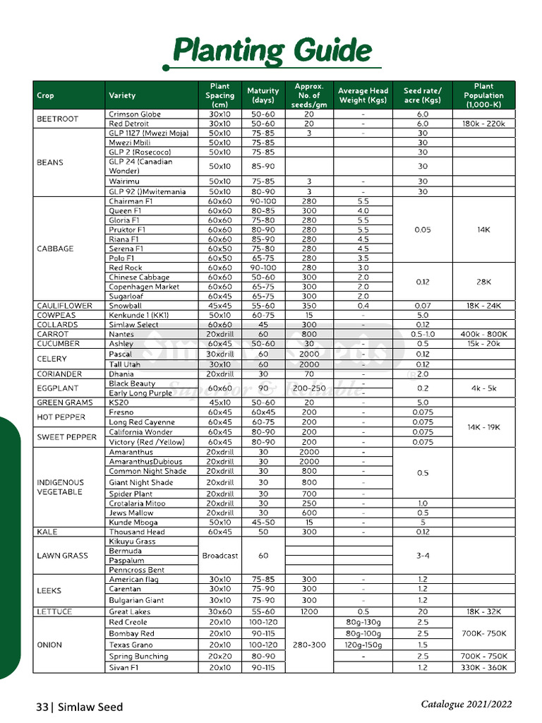 All Guide 31 | PDF