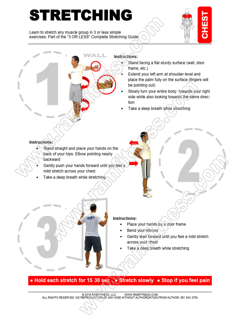Stretching - 3 or Less - Chest 1 | PDF