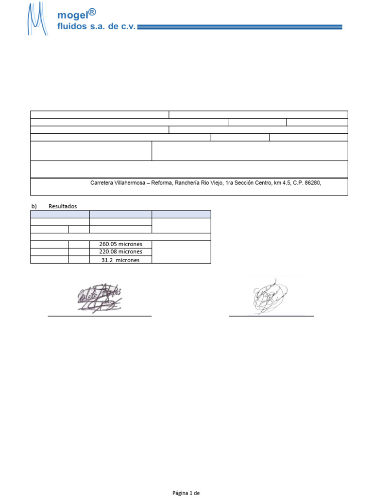 Informe de Análisis de Tuff Seal | PDF