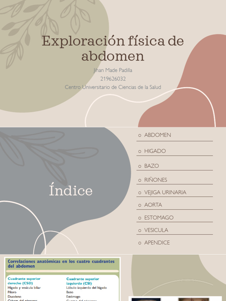 Exploración Física de Abdomen | PDF | Abdomen | Bazo