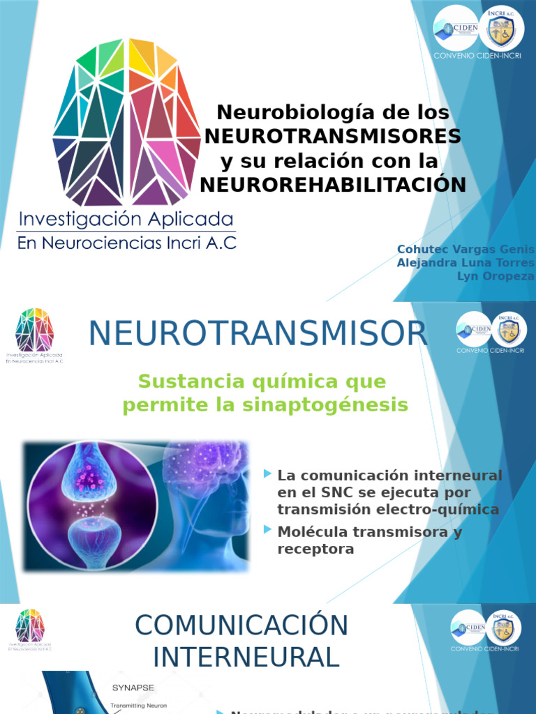 Neuro Transm I Sores | PDF
