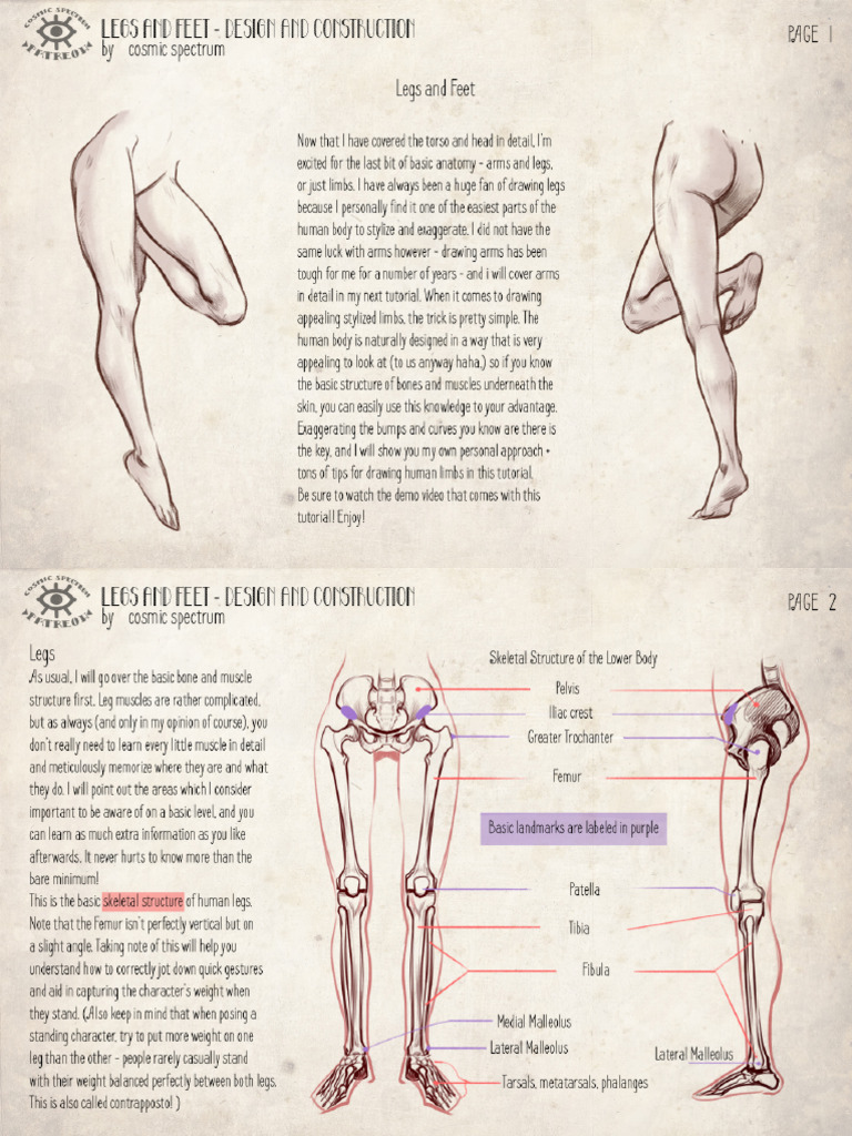 Legs and Feet Tutorial | PDF