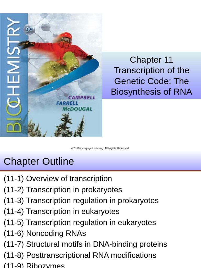 Campbell9e PPT Ch11 | PDF