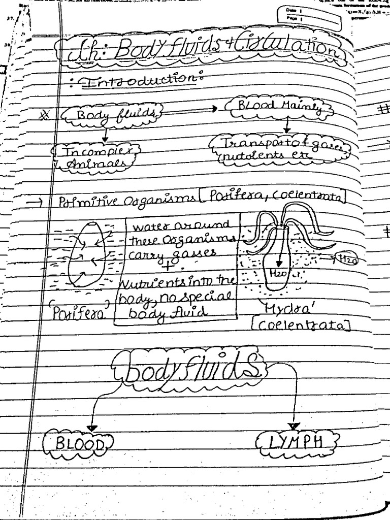 Tushar Notes | PDF