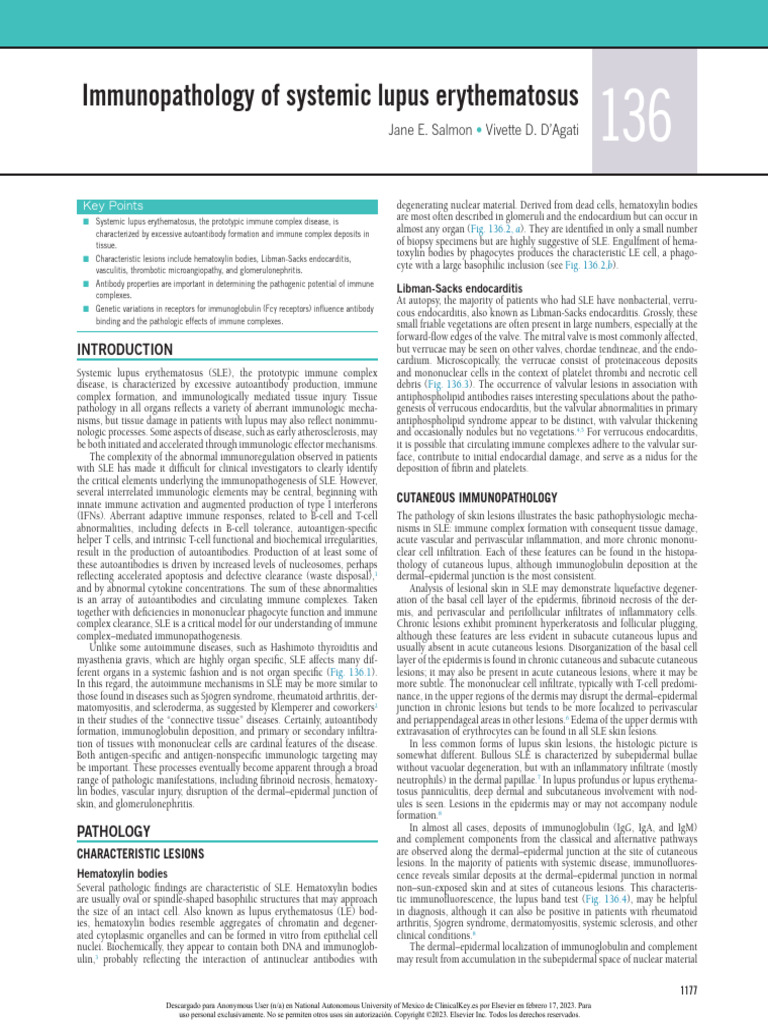 Immunopathology of Systemic Lupus Erythematosus | PDF