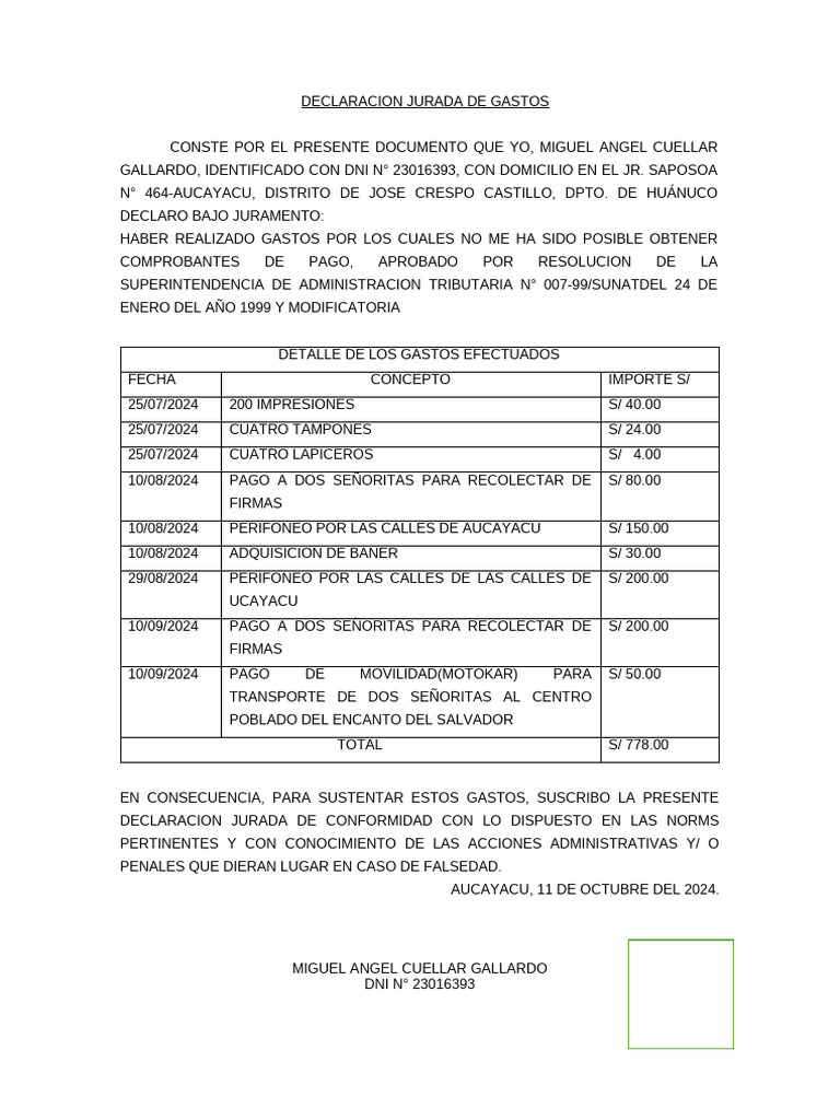DECLARACION JURADA DE GASTOS | PDF