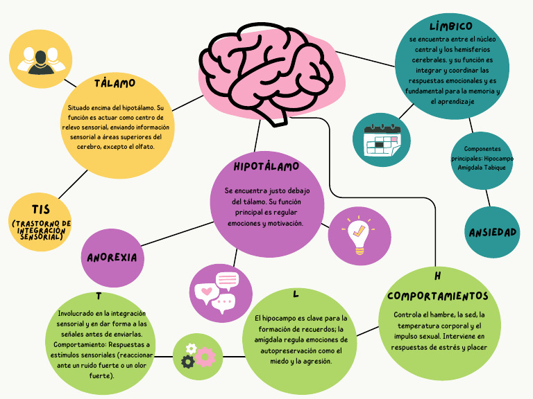 Colorful Playful Mind Map Graph | PDF
