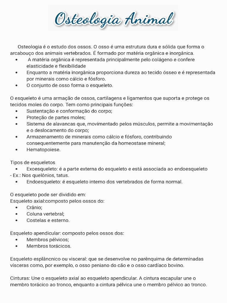 Resumo de Anatomia 240323 152002 | PDF
