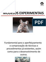 Modelos Experimentais