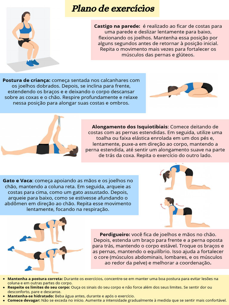 Dor Lombar Cartilha De Exercícios Pdf