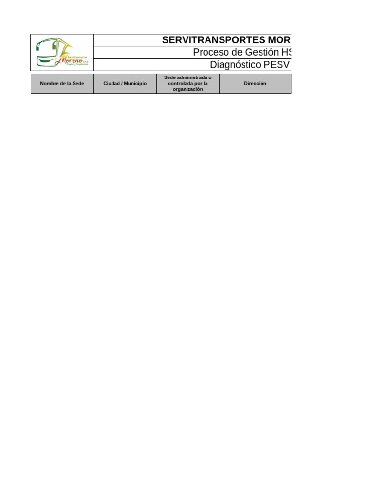 5-diagn-stico-pesv-pdf