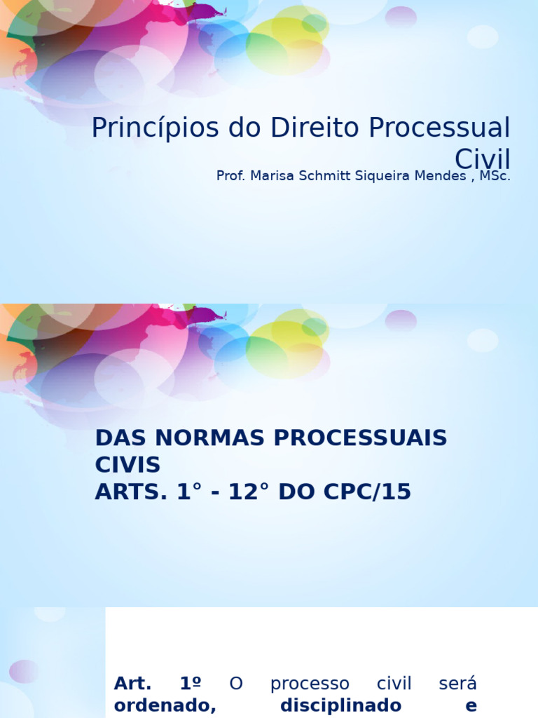 2 - Princípios Do Direito Processual Civil 2024.1 | PDF