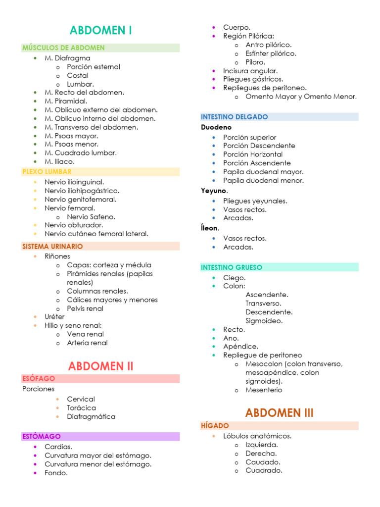 Lista de Estructuras Abdomen | PDF