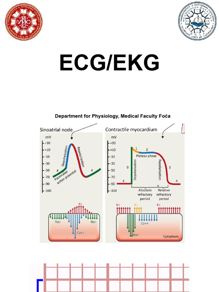 Ecg Presentation 1 Part Pdf