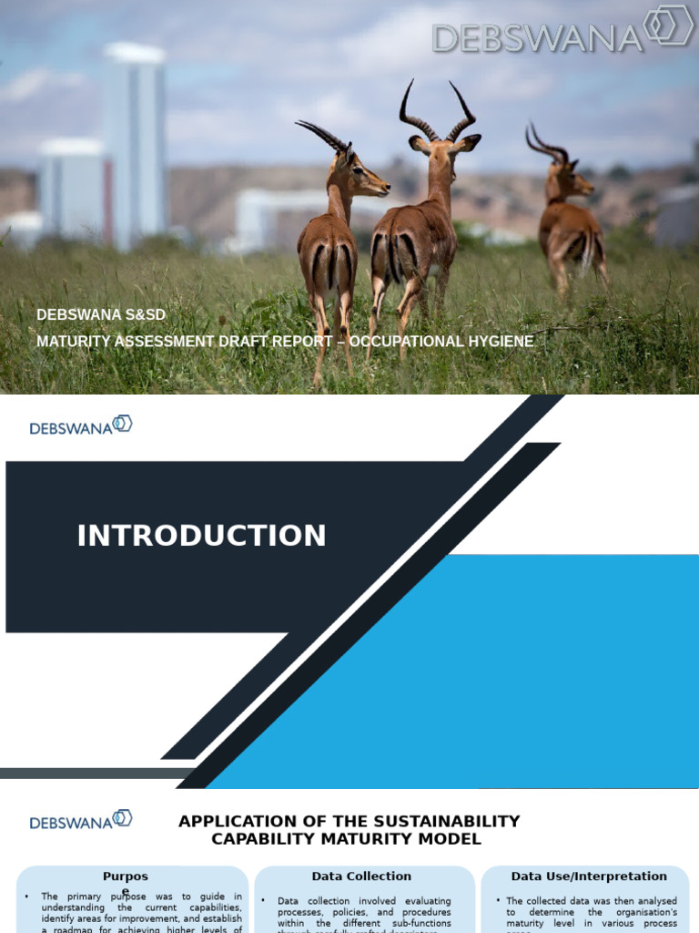 Final Maturity Assessment Report Occupational Hygiene Pdf