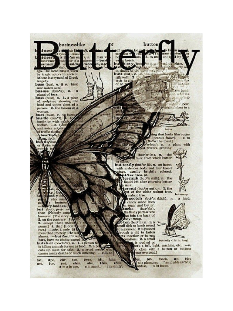 Motyl v2 | PDF