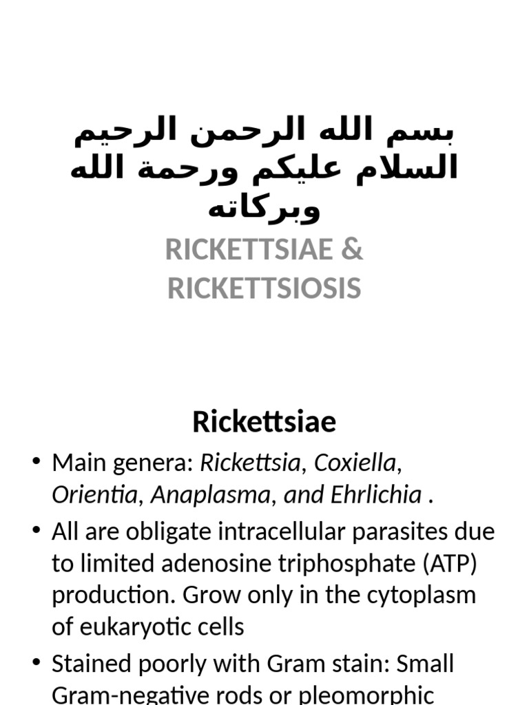 RICKETTSIAE | PDF | Medical Specialties | Microbiology