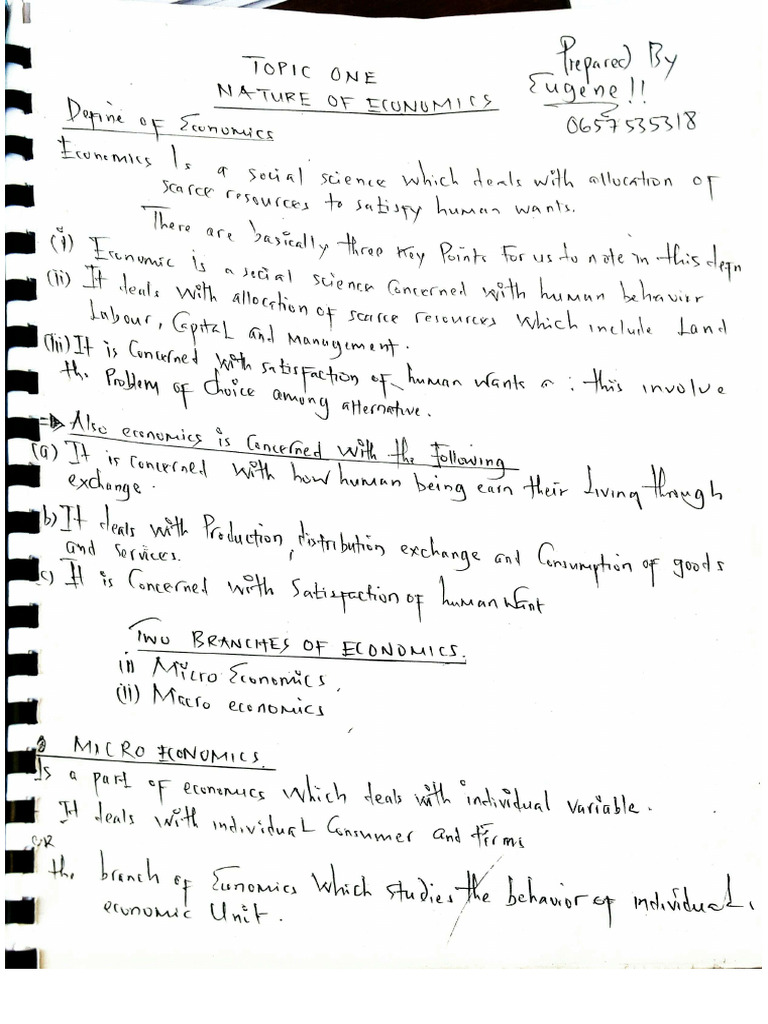 Economics Notes | PDF