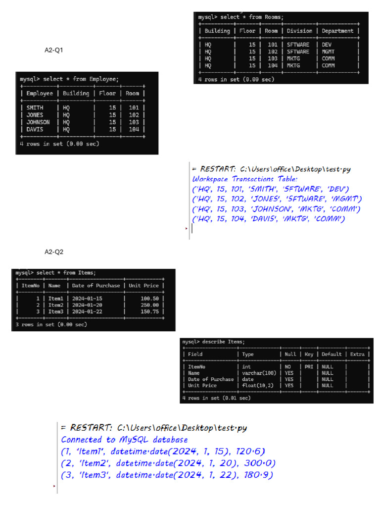 Python Mysql Connectivity-2 Outputs | PDF