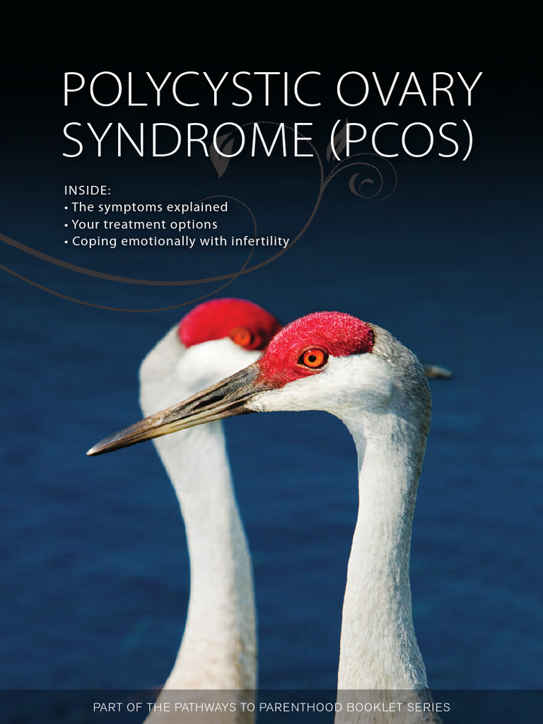 Polycystic Ovary Syndrome Pcos | PDF | Polycystic Ovary Syndrome | Wellness