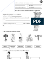 Diagnostic A 4oano Estudo Do Meio201011