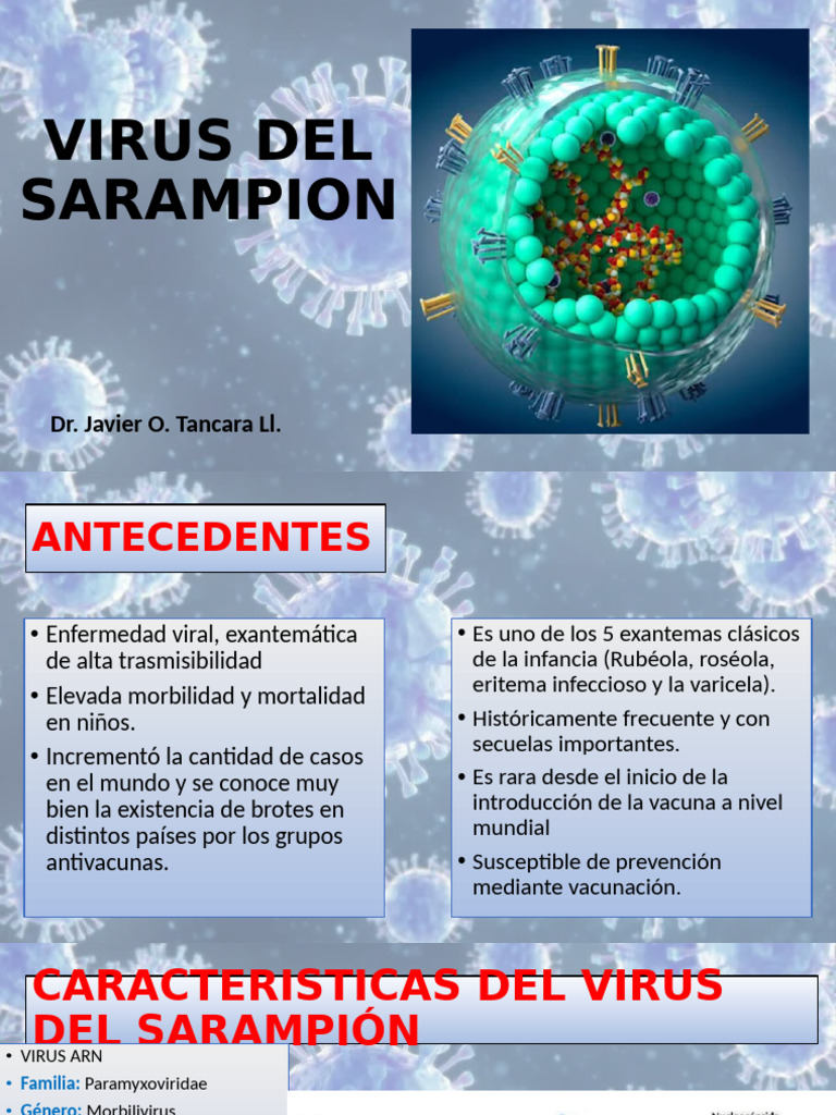 Virus Del Sarampion Pdf