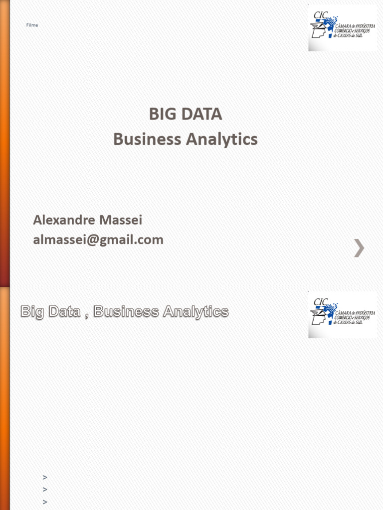 CIC Business Analytics | PDF