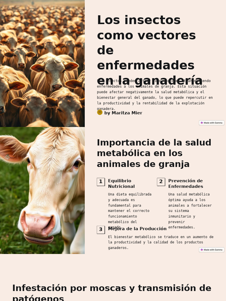 Los Insectos Como Vectores de Enfermedades en La Ganaderia | PDF