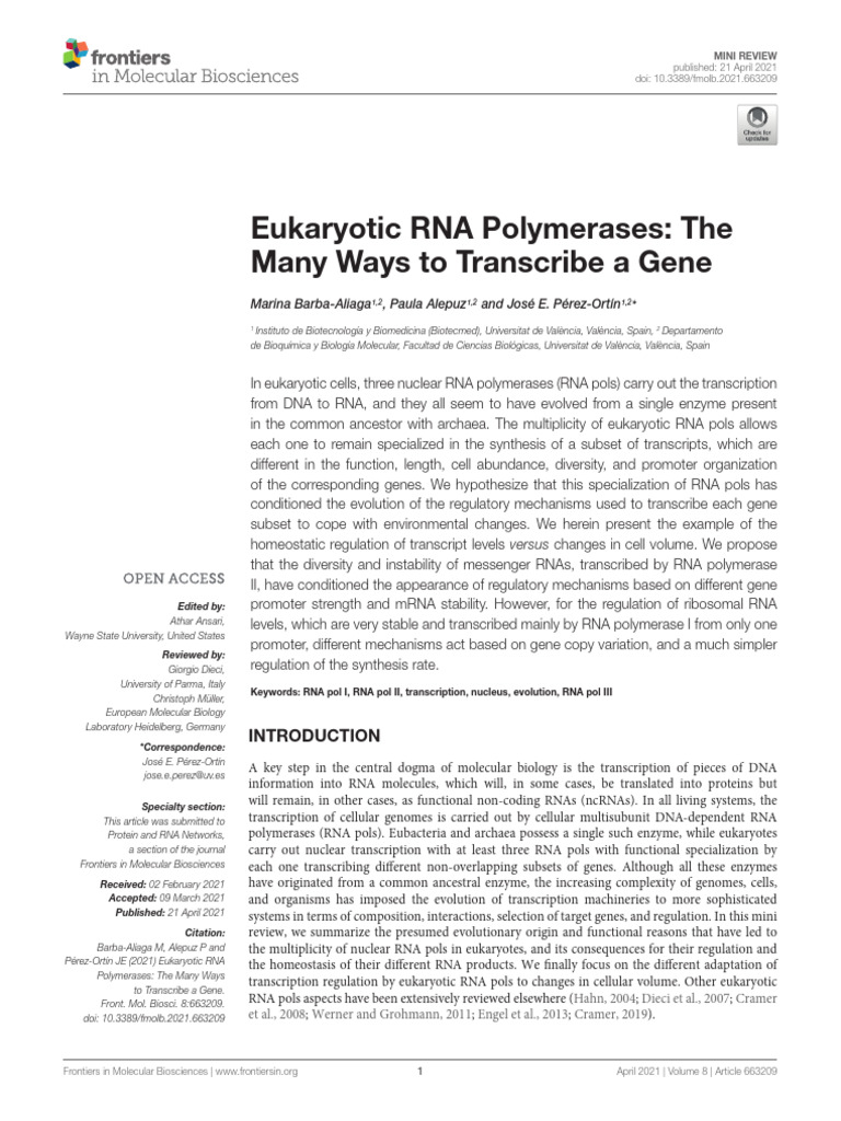 Eukaryotic RNA Polymerases Overview | PDF | Rna | Ribosomal Rna