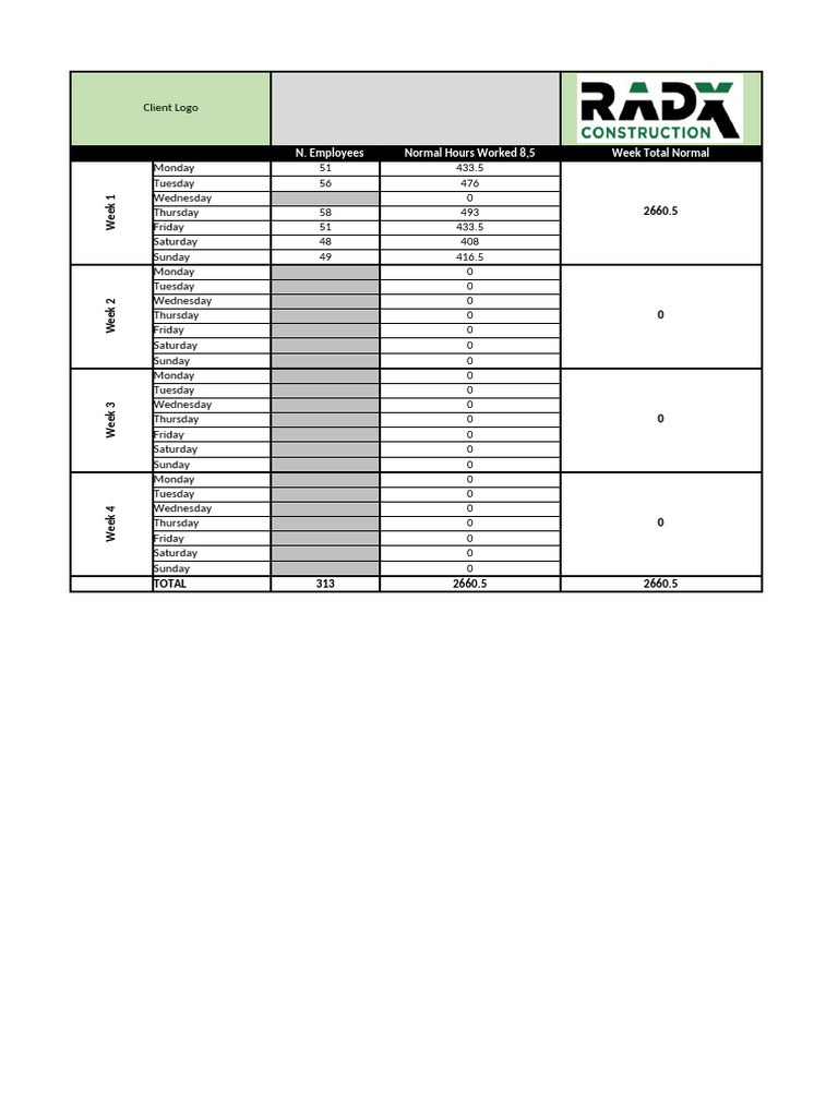 Template For MANHOURS | PDF