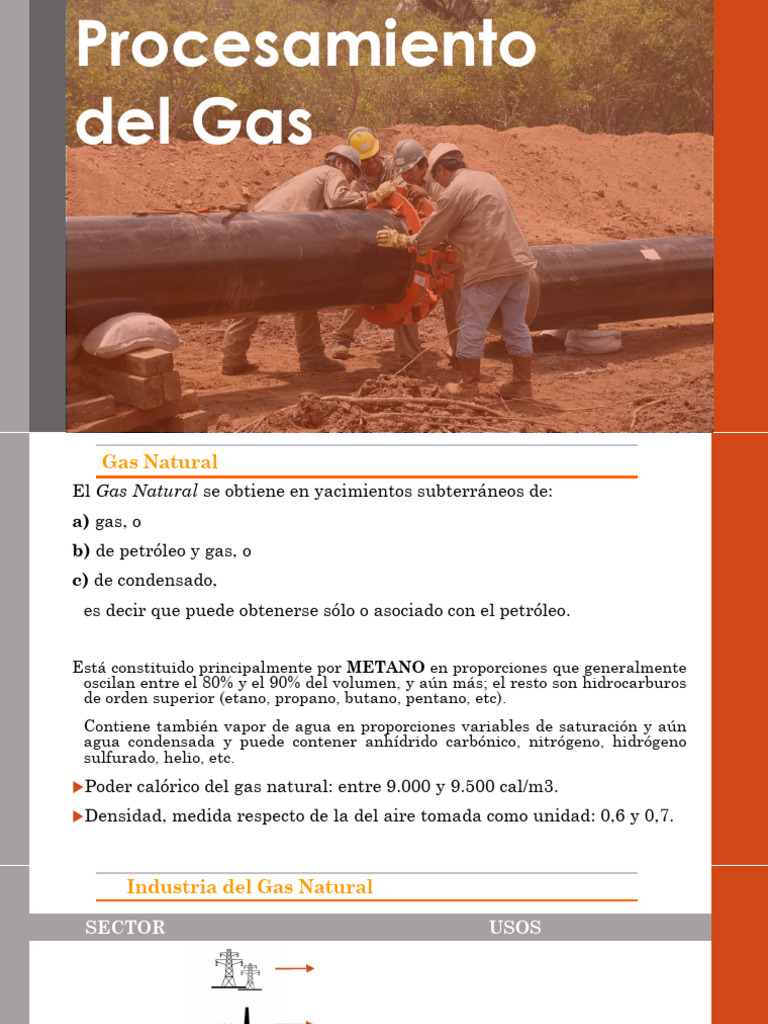 Procesamiento Del Gas Natural 2020 | PDF