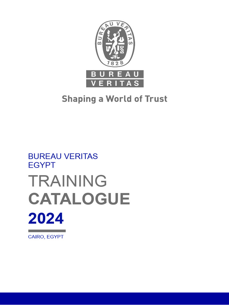 BV Quality | PDF
