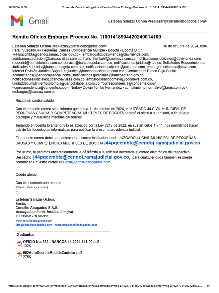 J 44 pccm bgta 2024 00141 radicado bancos pdf