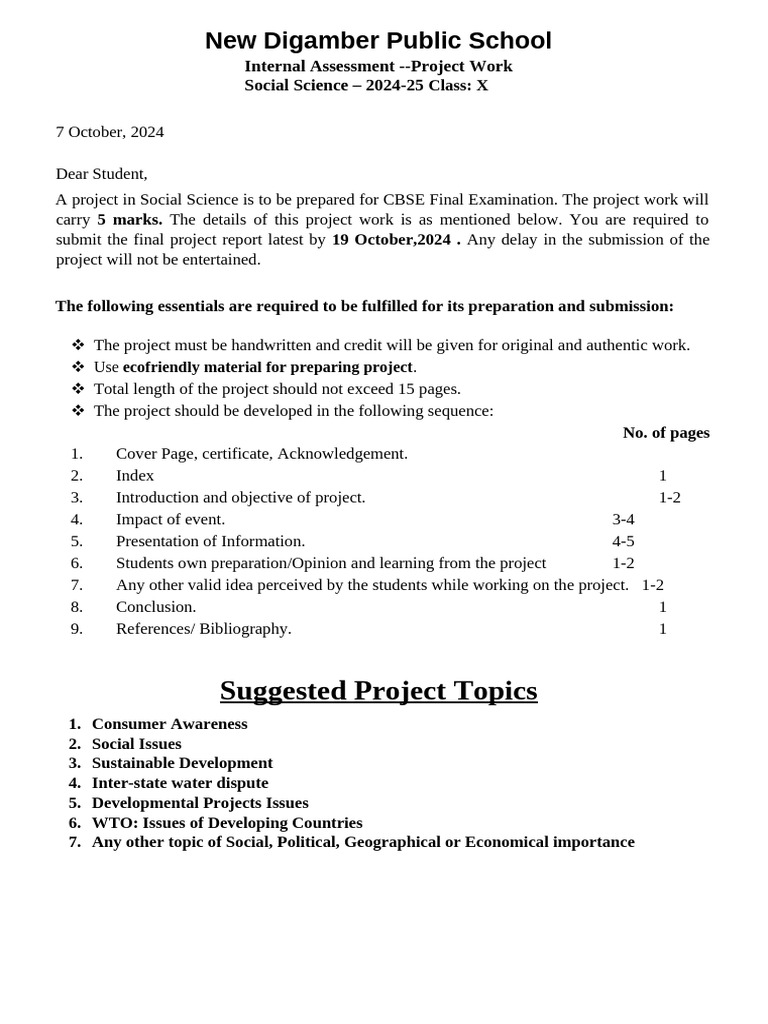 Project Social Science Class X 2024-25 NNN | PDF