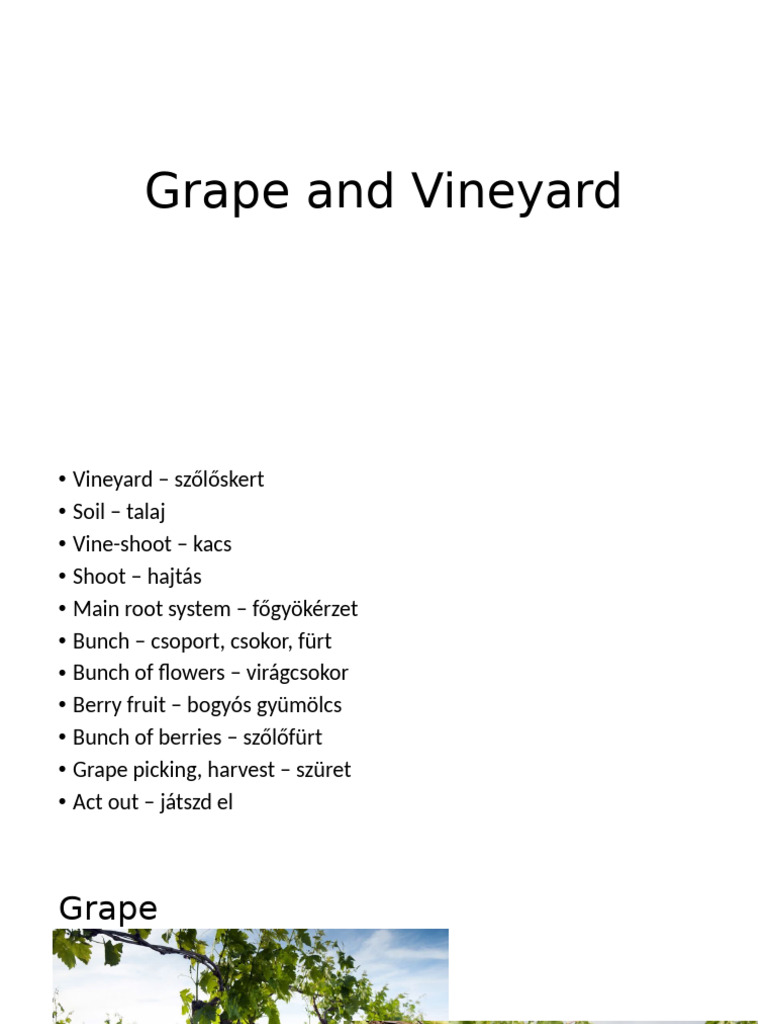 Grape Anatomy and Vineyard Terms | PDF | Home & Garden