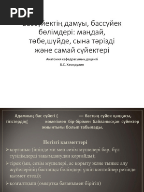 Еркектердің мастурбациясына арналған порно