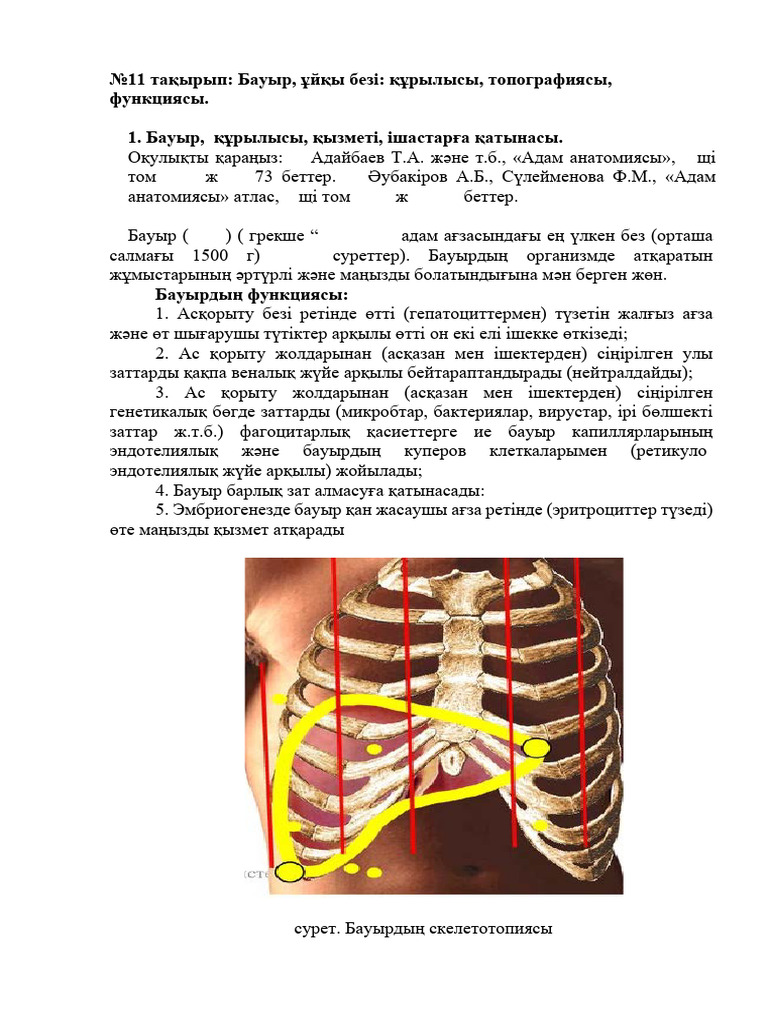 Ұйқыда бетке контур