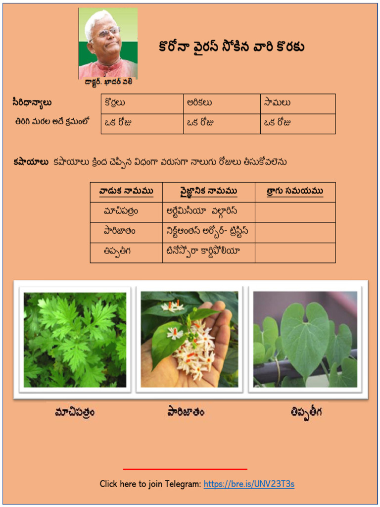 PROTOCOL MEANING IN TELUGU WITH EXAMPLE PDF intelligence overview